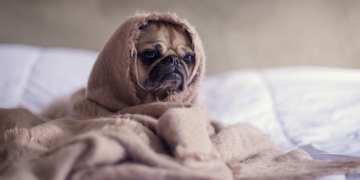 Sleep Better By Avoiding These 12 Foods Before Bedtime