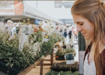 10 Mistakes to Avoid When Shopping at the Supermarket